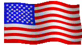 us-flag1.gif (11013 bytes)